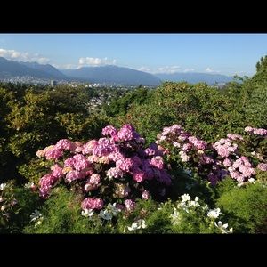 Meet your Posher, Antonette